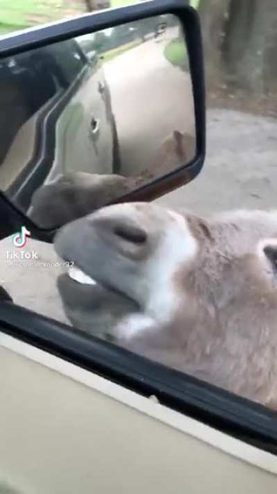 Excuse me, sir