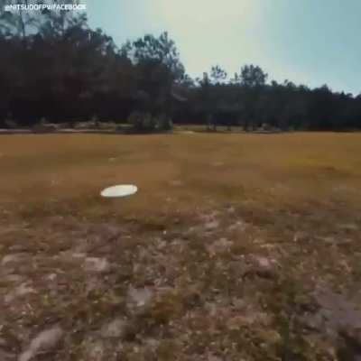 Top tier disc tracking and drone piloting.