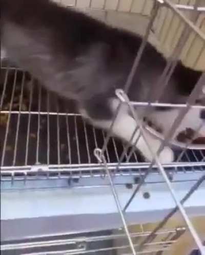 Umm you hungry buddy?