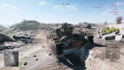 What happened to this staghound