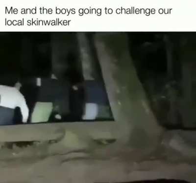 shitposting - Video #5307