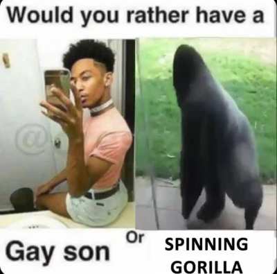 🦍