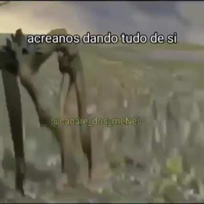 Créditos no vídeo