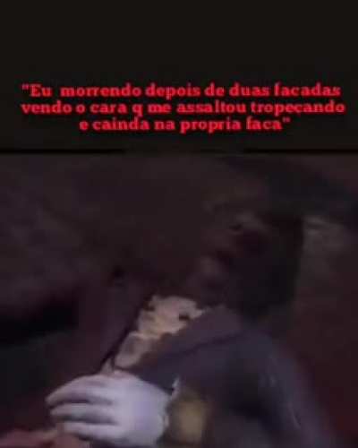 Muito burro
