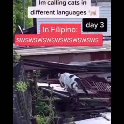 Swswswsw