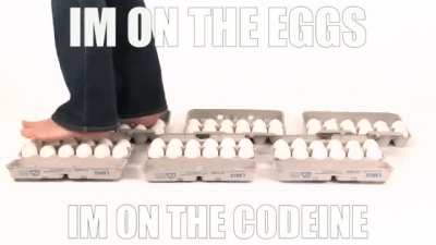 He on the eggs❗️ 🥚🥚🥚
