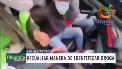 Megathread catorcenal para rant