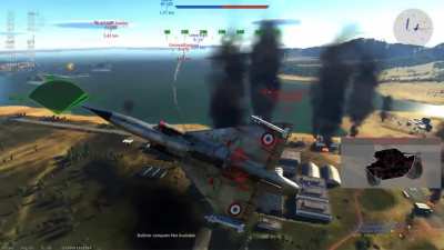 What in the incredibly detailed flight model is this!? Imagine if I survived though.