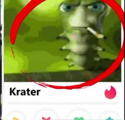 🐛