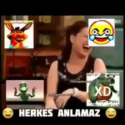 31 sjsj
