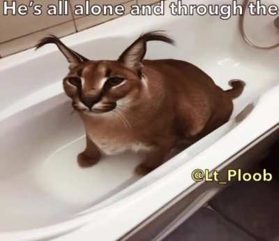 floppa friday