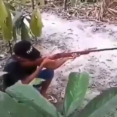 Nyeeeh
