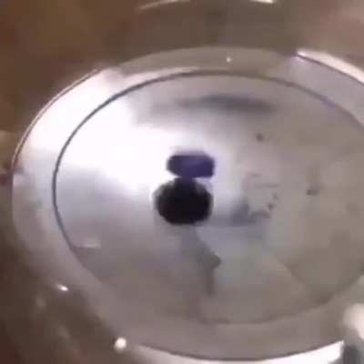 como viciaba a esas cosas en la escuela
