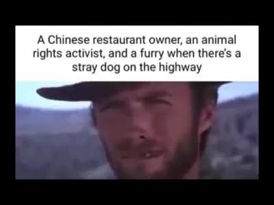 Mexican stand off