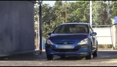 Pigeons poop on clean car.