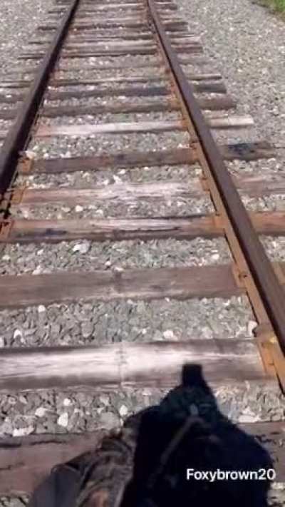 Sucking Dick on the train tracks