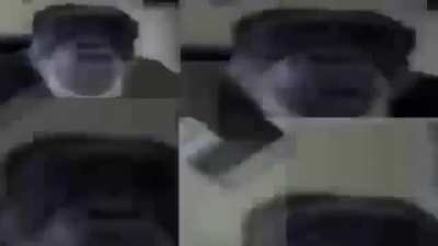 You have you have you have: armenian cory