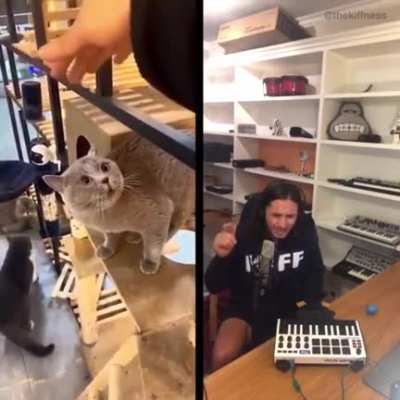 u/thekiffdave’s seriously amazing remix of the Alugalug cat