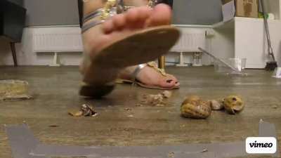 Crushing snails sandals gladiator, She steps for 14 minutes