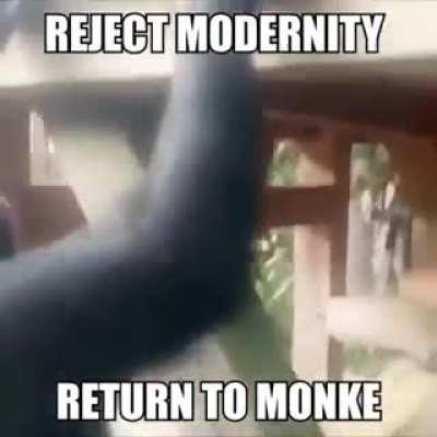 Monke