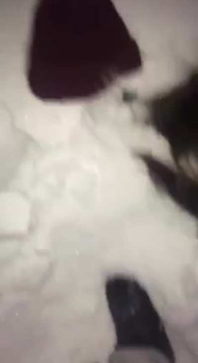 Ho