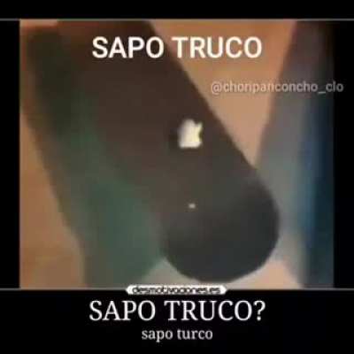 Sapo Truco