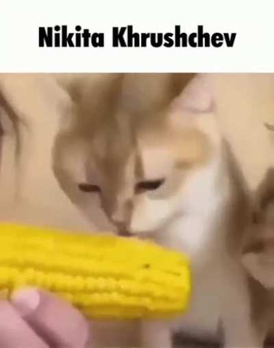 Rule