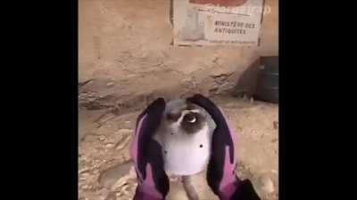 Bomb Has Been Planted