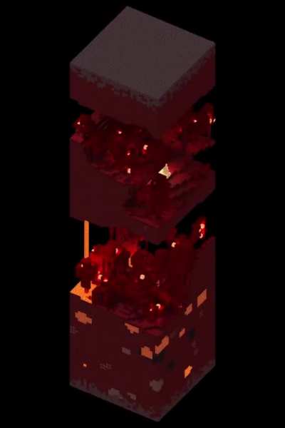 The biomes of the new nether