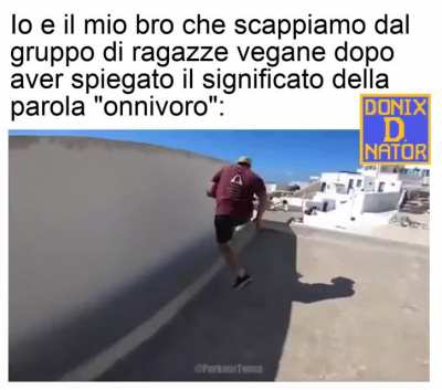 Correte, sciocchi