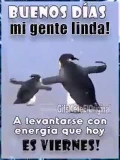 Feliz Viernes 🥵🥵🥵