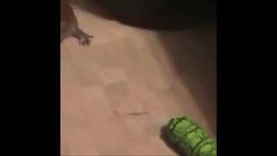 Oh shit!