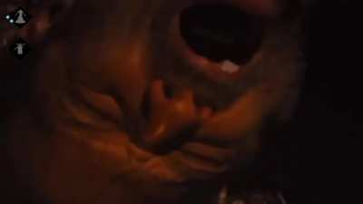 Camping.MP4