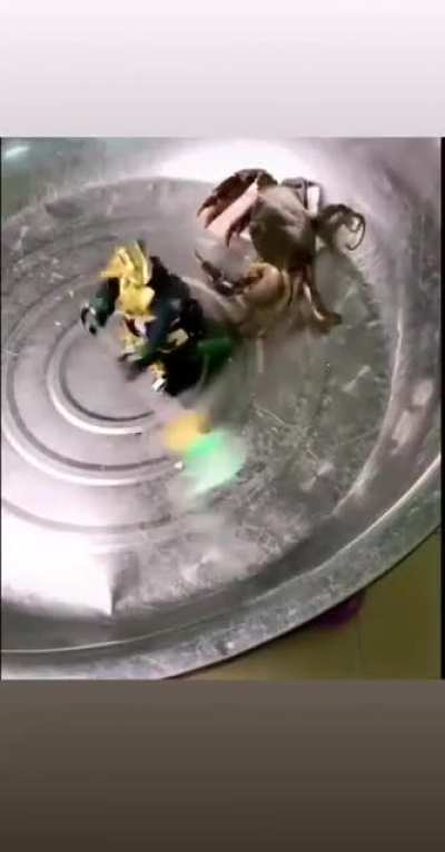 New Transformer movie leaked