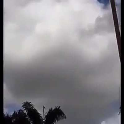 Macaco va a caer