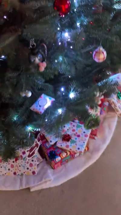 Christmas surprise