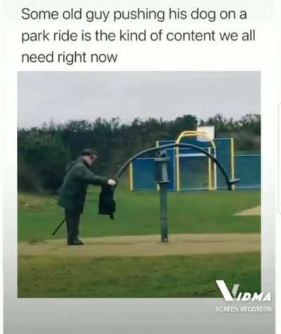 Man pushing dog on park ride :)
