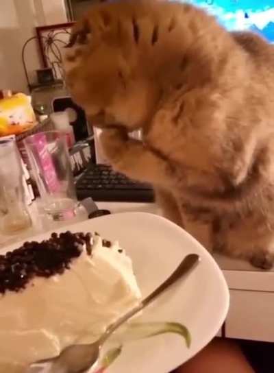 He also wanted some ice cream
