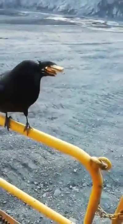 He needs more