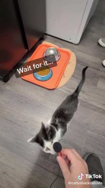 AHH-