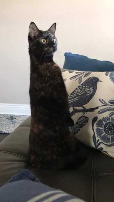 She’s not a fan of the pest control guy.