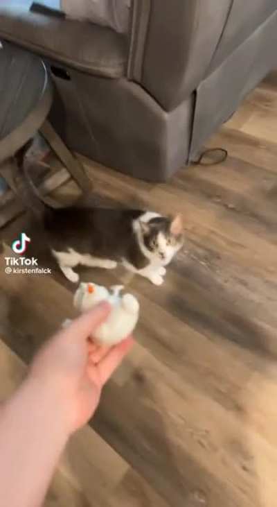 Splat