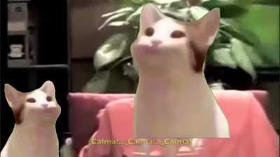 Calma
