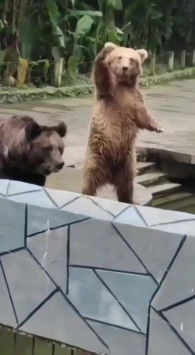 Excuse me, good sir, I would like one too!