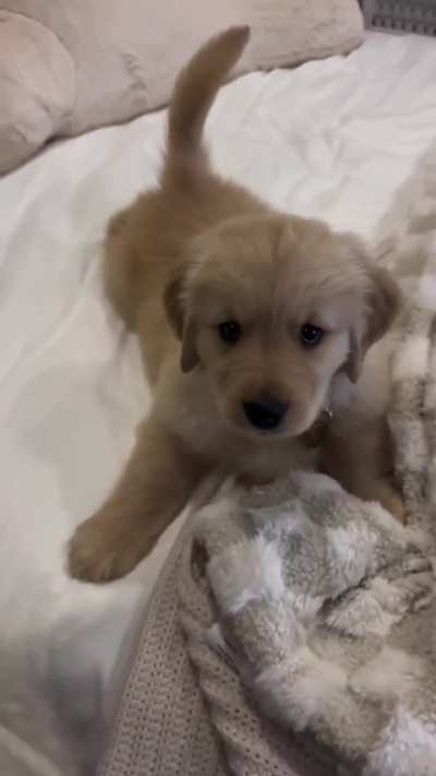 He's a very talkative little boy