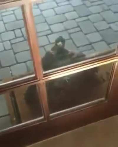 Reenkarnasyon sonrası ülkenin geleceğini çalan siyasal islamcılardan hesap sormaya gelmişim.