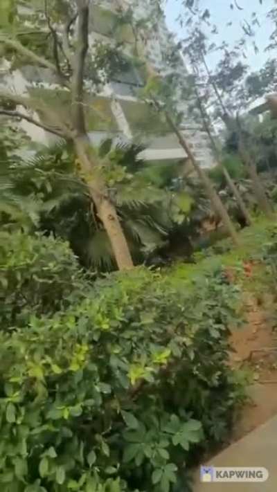 Death by tiktok