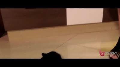 heidy pino new video (george model)