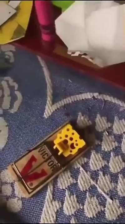 Don’t mess with mouse traps kids