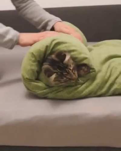 Linda! I’m not your sushi roll